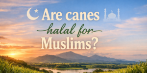 Are canes halal for Muslims?